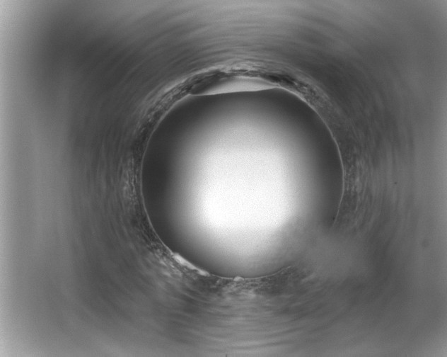 X0000065970773200603031127