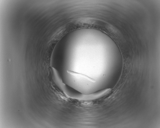 X0000065970774200603031127