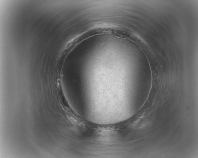 X0000065970775200603031127