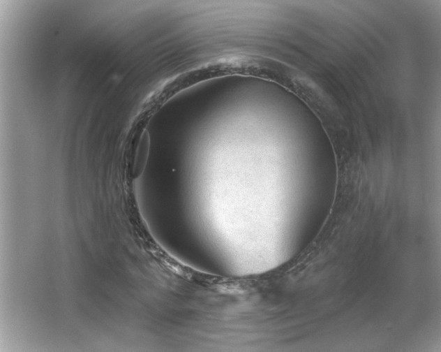 X0000065970776200603031127