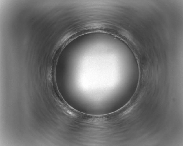 X0000065970778200603031127