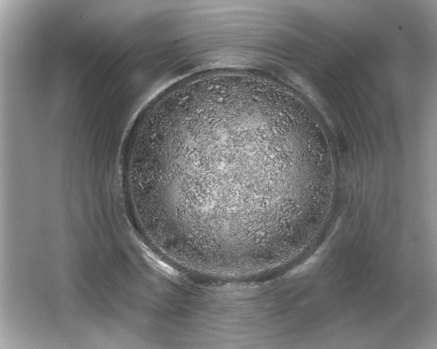 X0000065970779200603031127