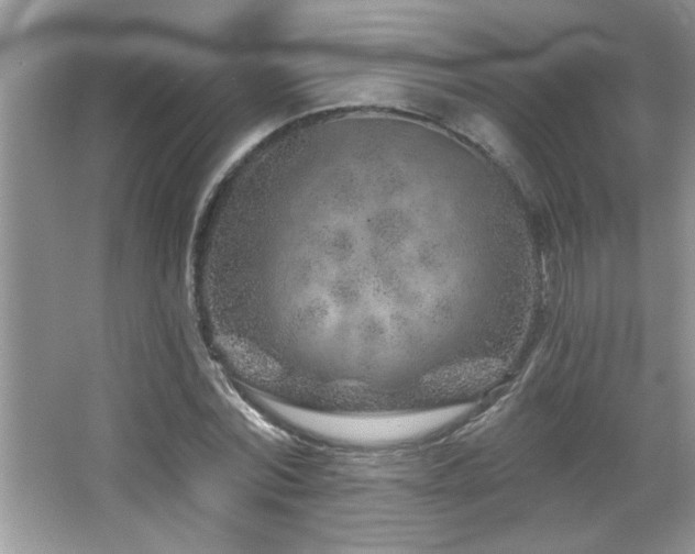 X0000065970780200603031127