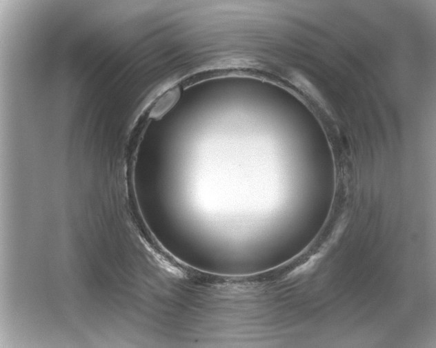 X0000065970781200603031127