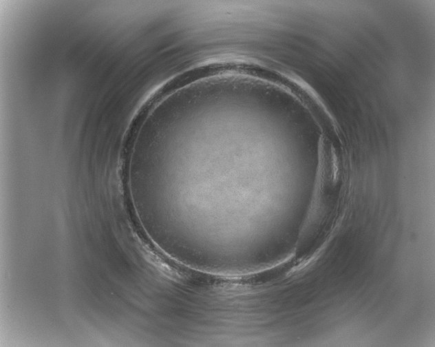 X0000065970783200603031127