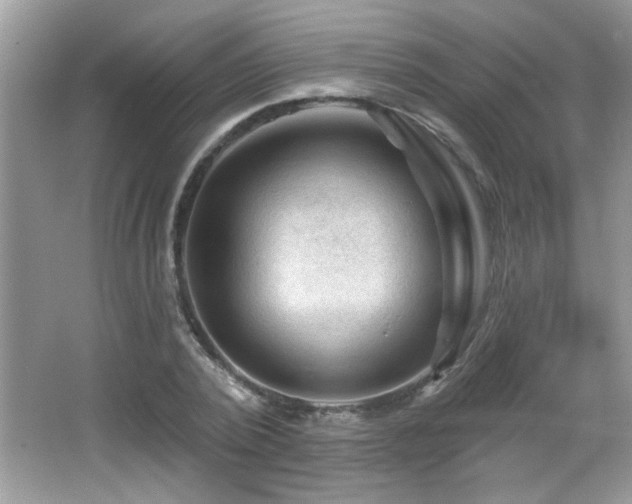 X0000065970784200603031127