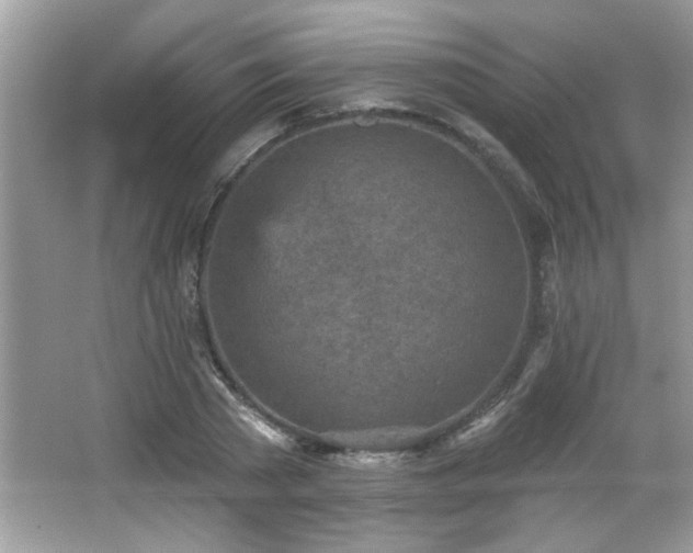 X0000065970785200603031127