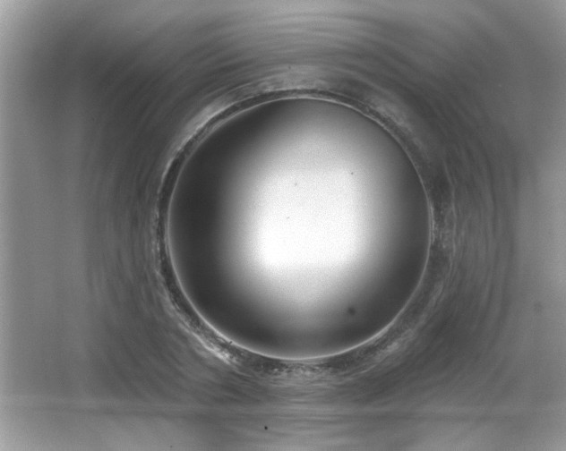 X0000065970786200603031127