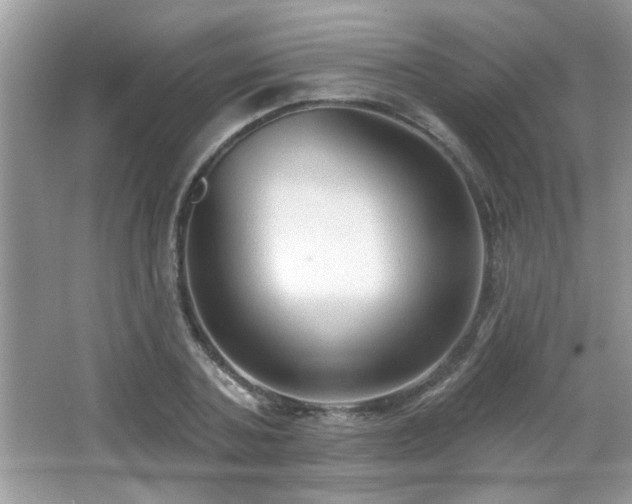 X0000065970787200603031127