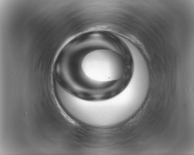 X0000065970792200603031127