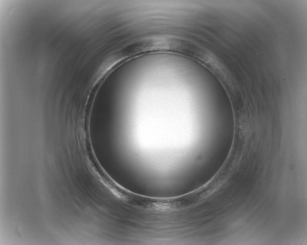 X0000065970794200603031127