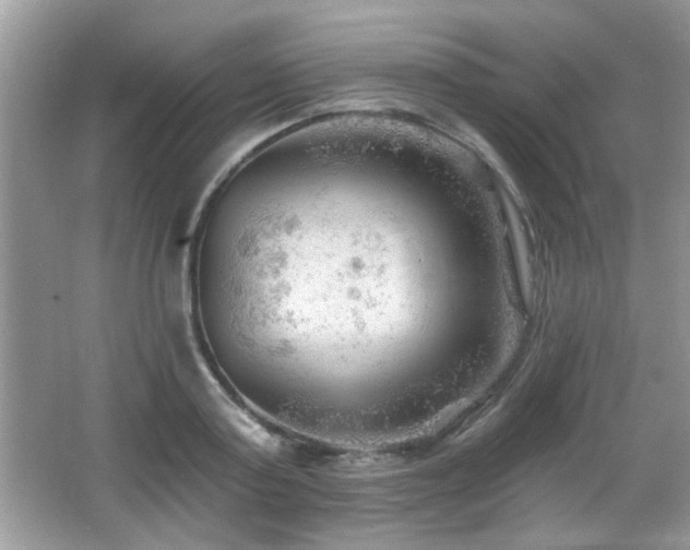 X0000065970795200603031127