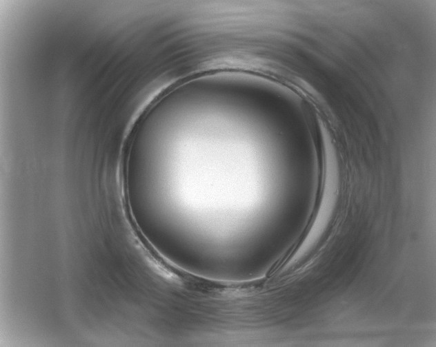 X0000065970796200603031127