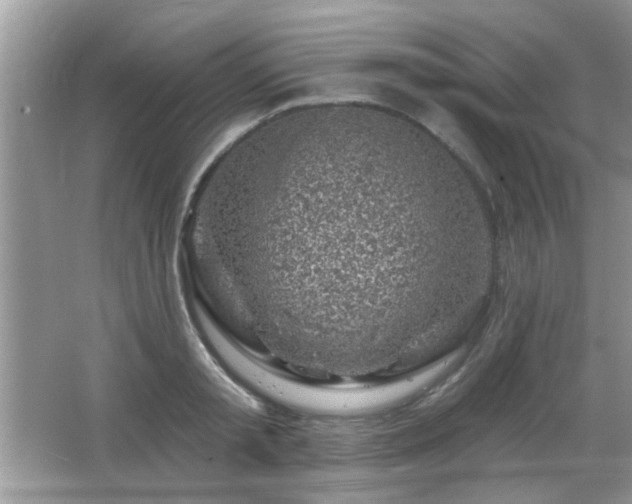 X0000065970797200603031127