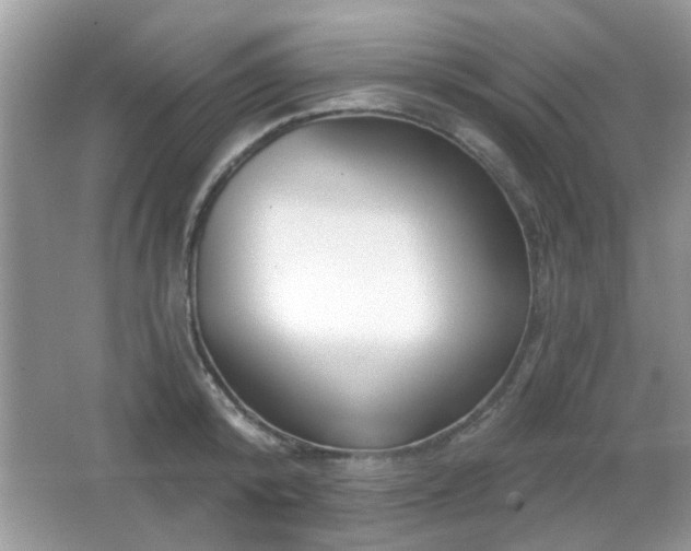 X0000065970800200603031127