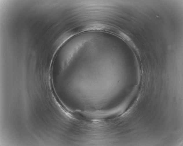 X0000065970802200603031127