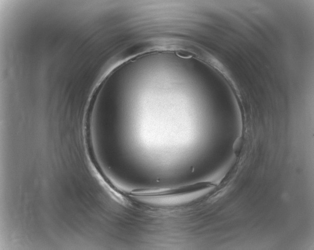 X0000065970803200603031127