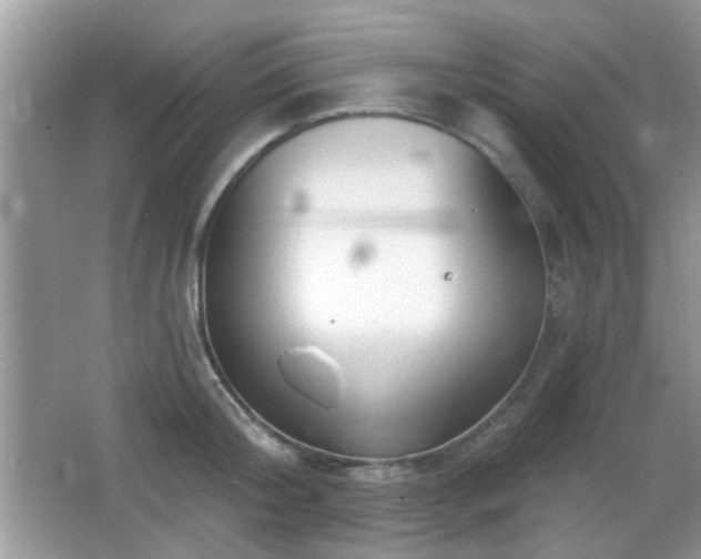 X0000065970804200603031127