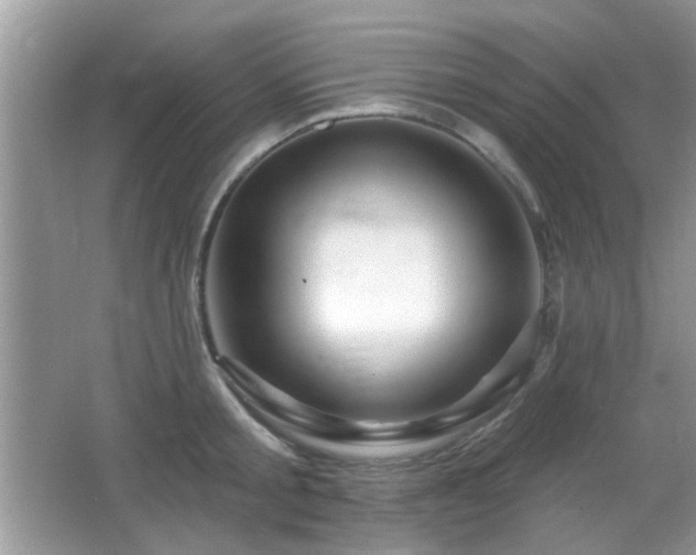 X0000065970805200603031127