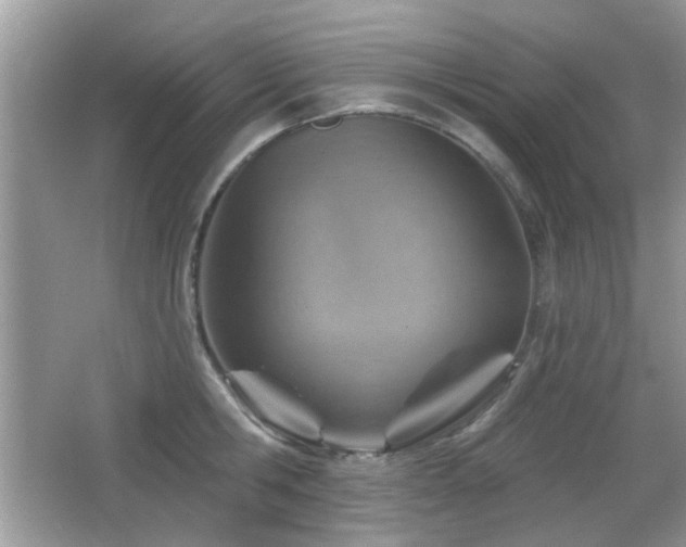 X0000065970806200603031127