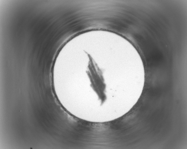 X0000065970807200603031127