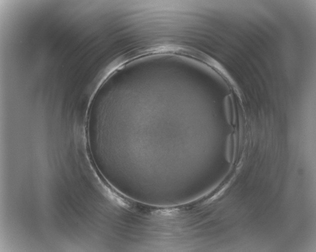 X0000065970810200603031127