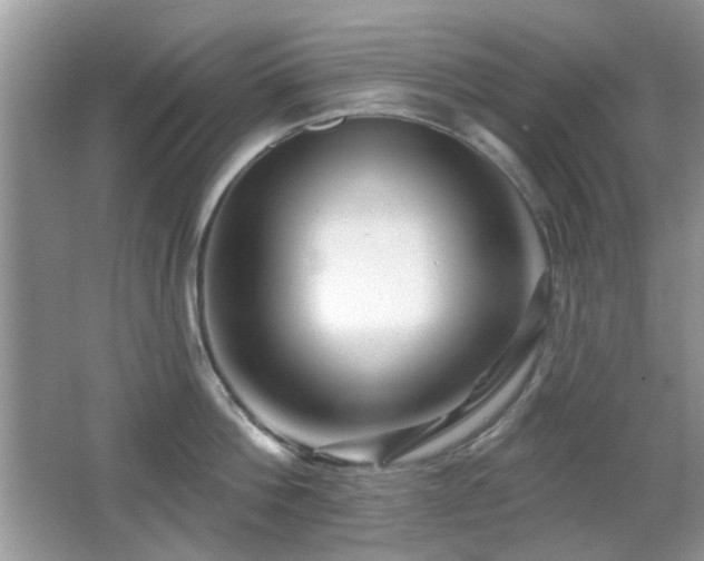 X0000065970812200603031127