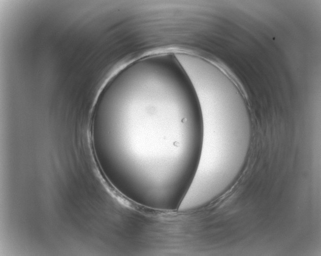 X0000065970813200603031127