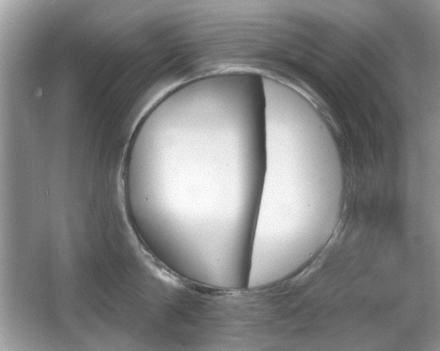 X0000065970814200603031127