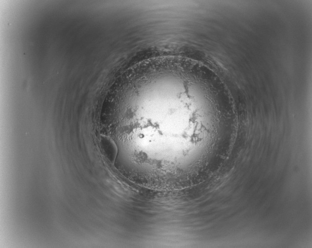 X0000065970817200603031126