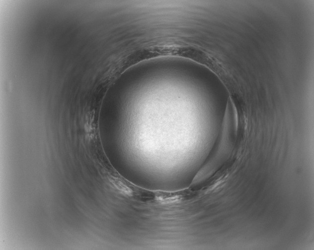 X0000065970818200603031126