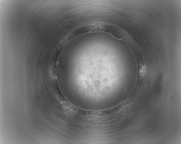 X0000065970819200603031126