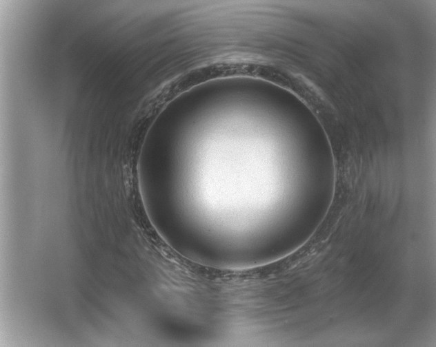 X0000065970821200603031126