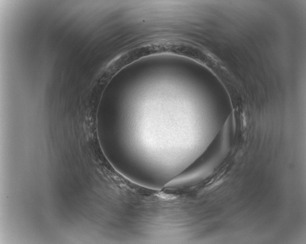 X0000065970822200603031126