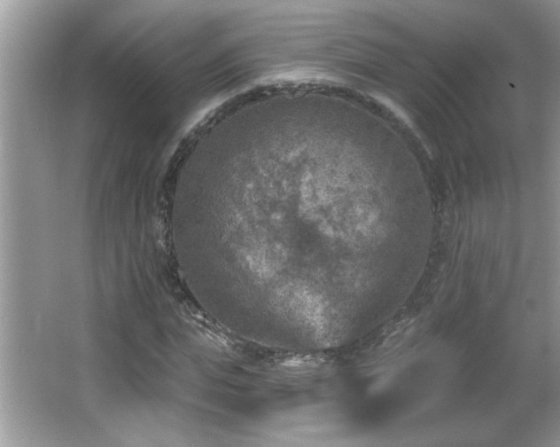 X0000065970823200603031126