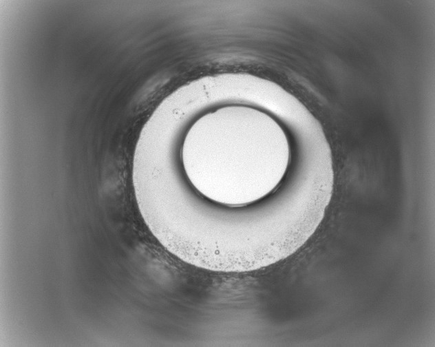 X0000065970824200603031126