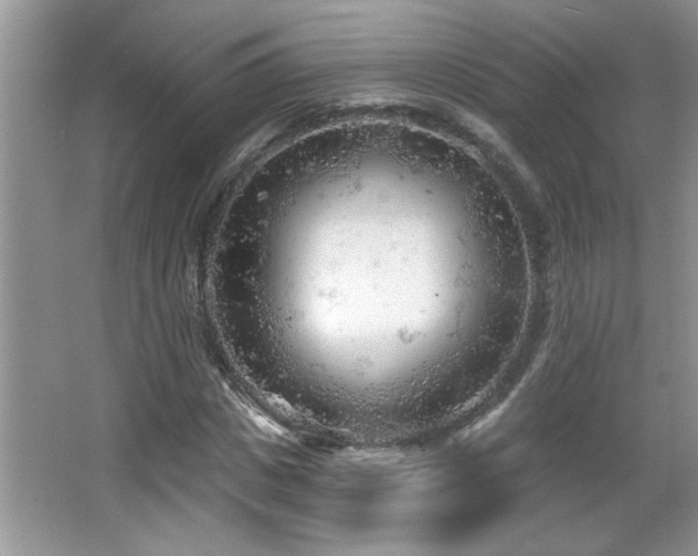 X0000065970825200603031126