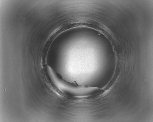 X0000065970826200603031126