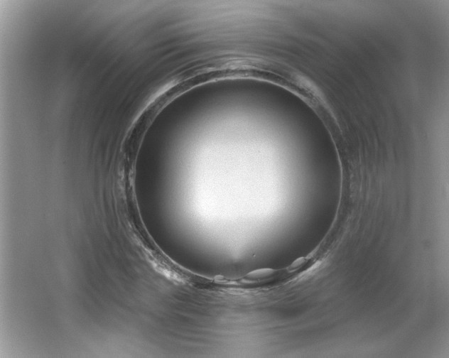 X0000065970827200603031126