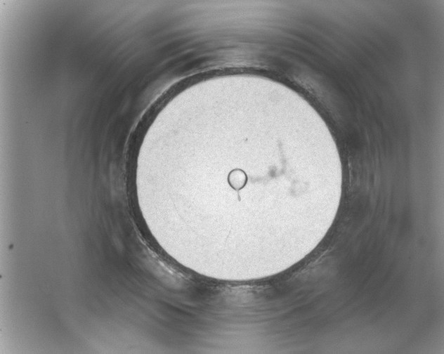 X0000065970828200603031126