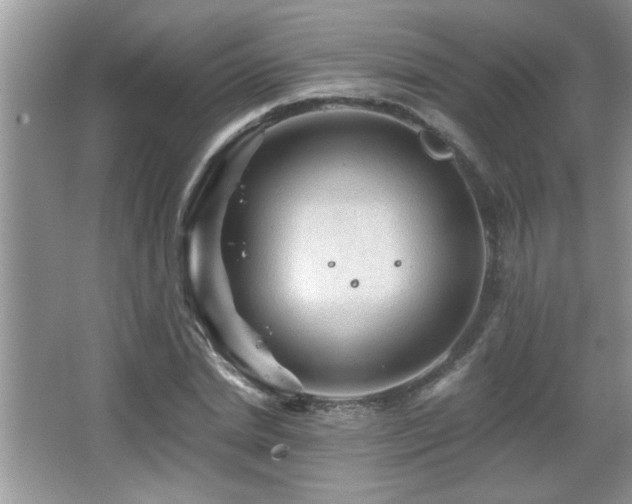 X0000065970830200603031126