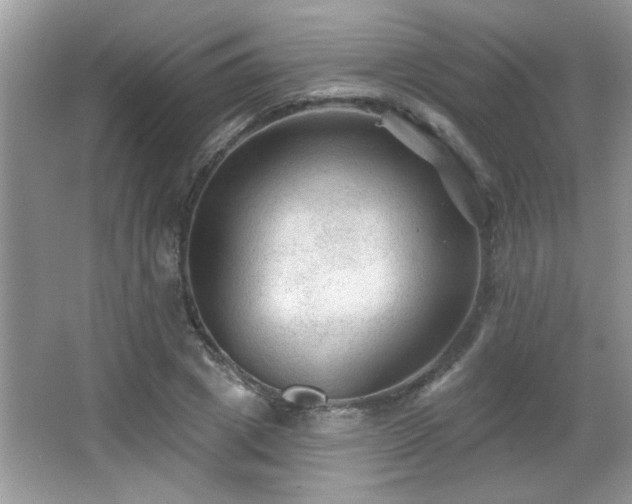 X0000065970833200603031126