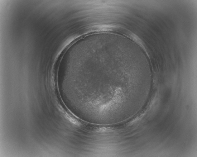 X0000065970835200603031126