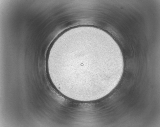 X0000065970836200603031126