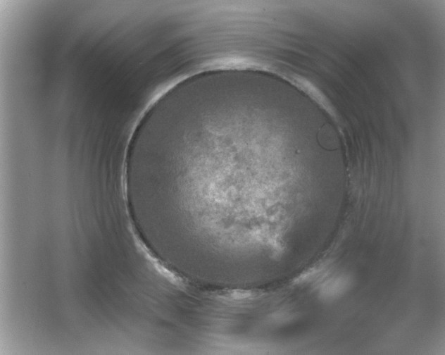 X0000065970839200603031126