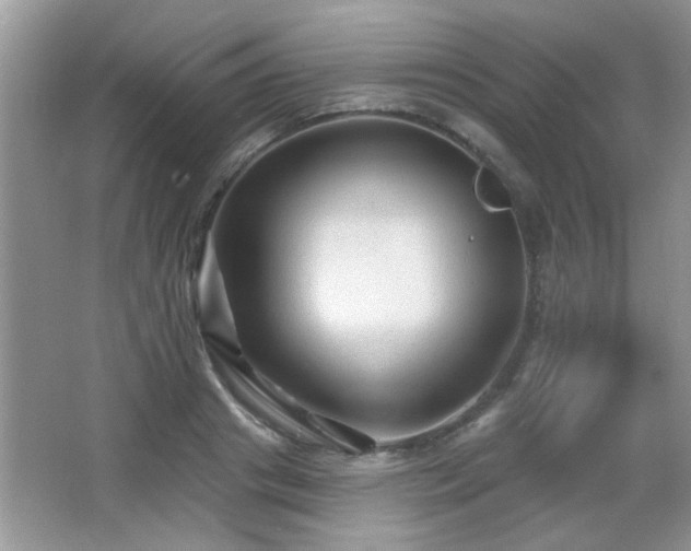 X0000065970841200603031126