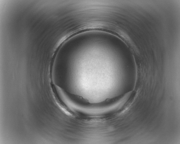 X0000065970842200603031126