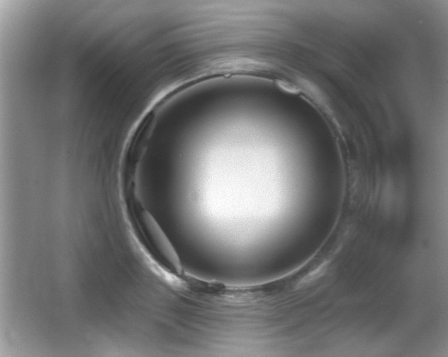 X0000065970843200603031126