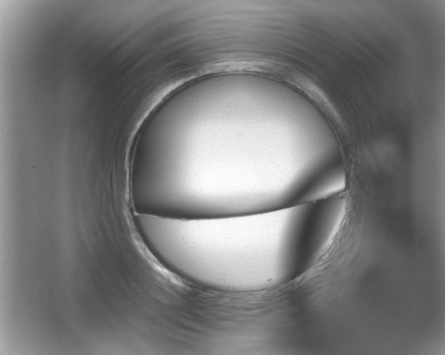 X0000065970844200603031126