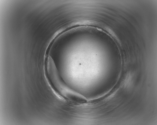 X0000065970845200603031126